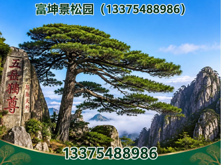 东平县富坤景松园展示图